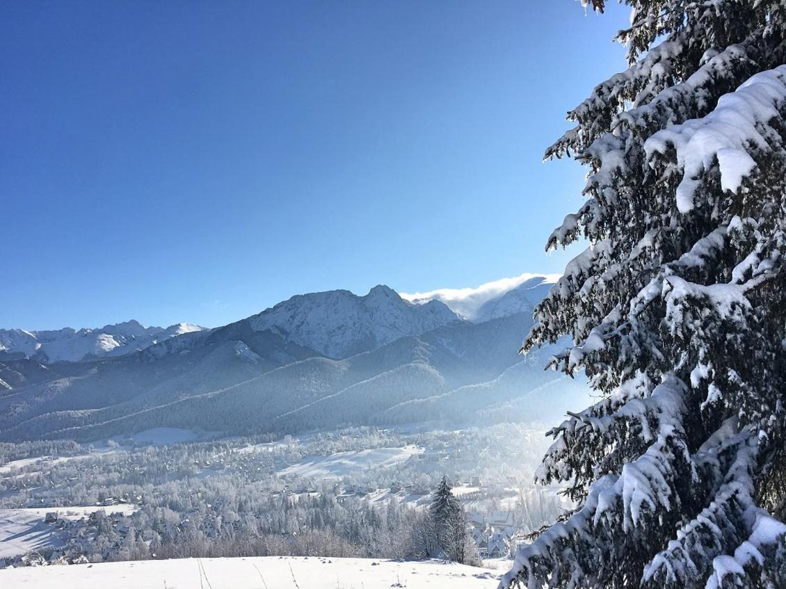 코스실리스코 Good Morning Giewont & Jacuzzi 아파트 외부 사진